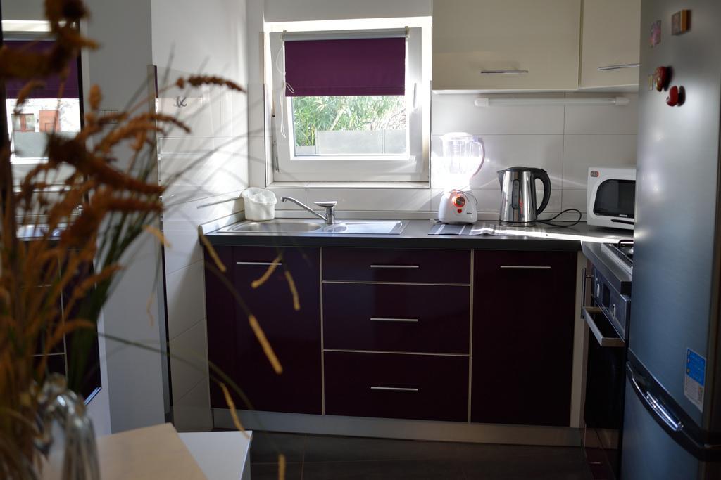 Aurelia Apartment Ližnjan 外观 照片